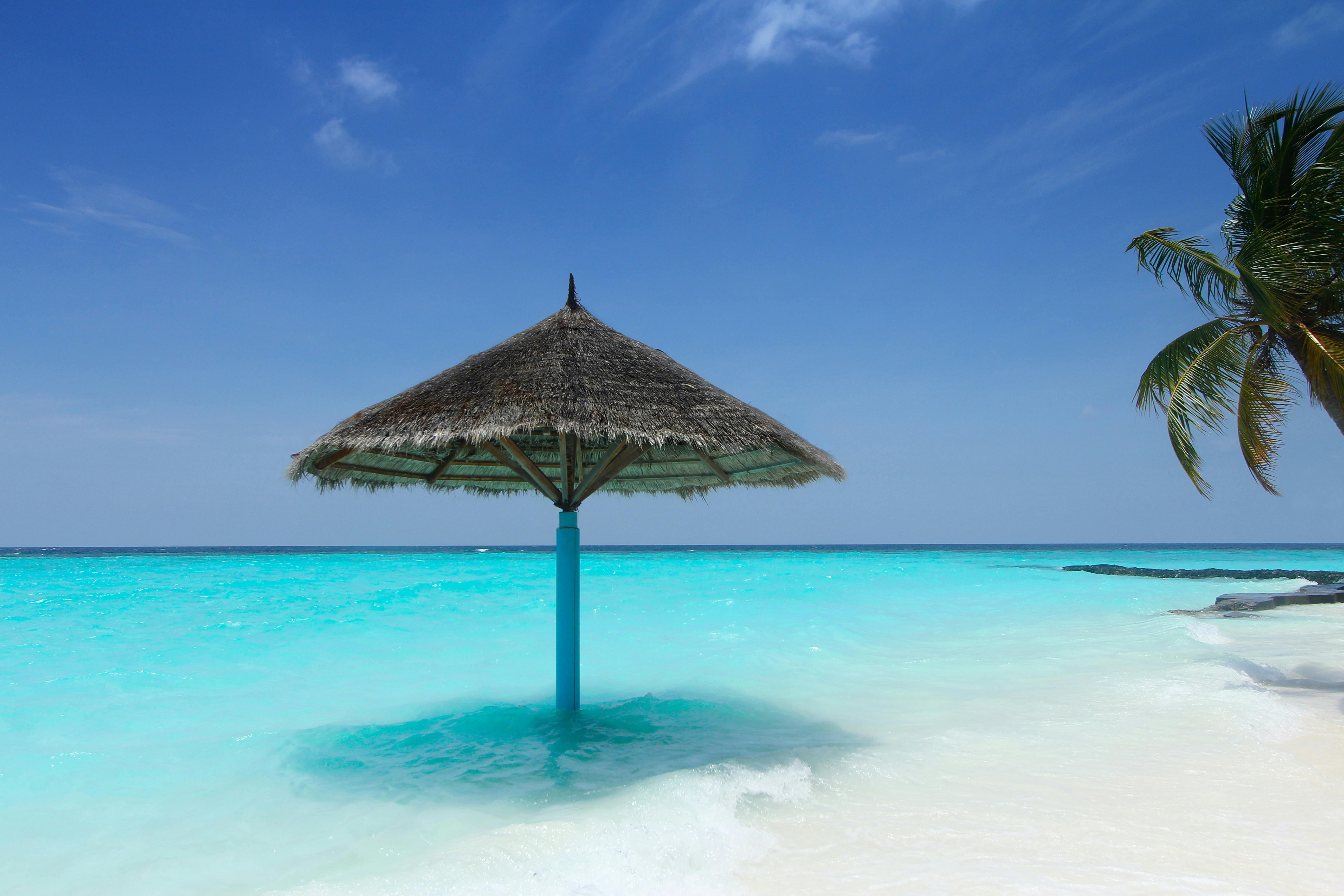 Flights from Port Vila to Christchurch