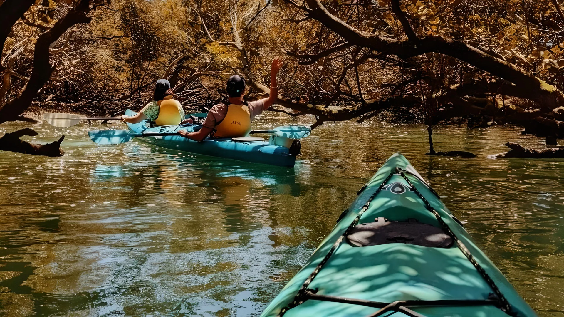 Flights from Auckland to Adelaide